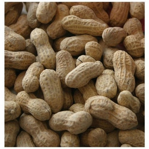 Alpine Dairy, In Shell Peanuts #1 Fancy, 50 Lbs