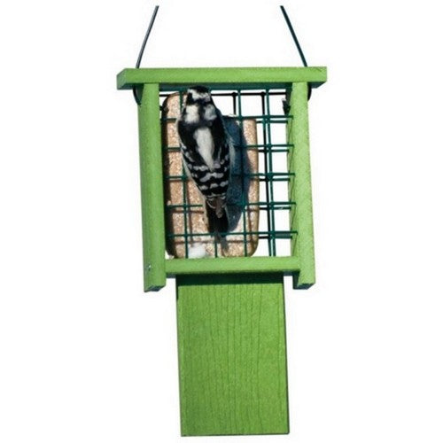 Going Green Tail-Prop Suet Feeder 1 CAKE CAP,Green by Audubon