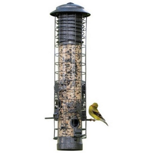 Audubon, Dragonfly Squirrel-Resistant Tube Feeder, 2.5 LB CAP,Gray