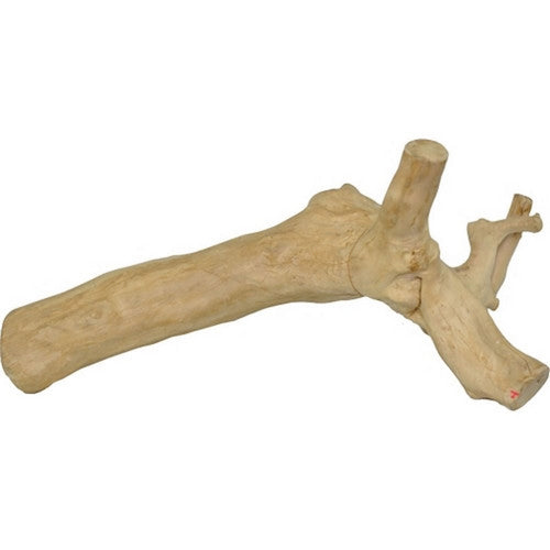 A&E Cage Company, Java Wood Reptile Branch, XL