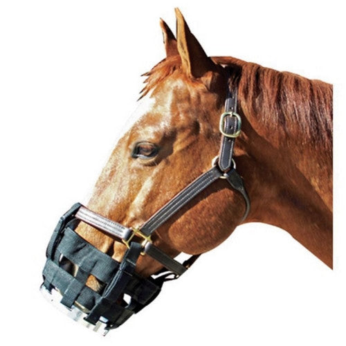 Best Friend Free-To-Eat Cribbing Muzzle Large HORSE,Black by Best Friend