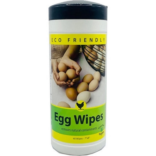 Carefree Enzymes, Egg Wipes, 40 Count