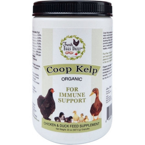 Fresh Eggs Daily, Organic Coop Kelp For Immune Support, 20 Oz
