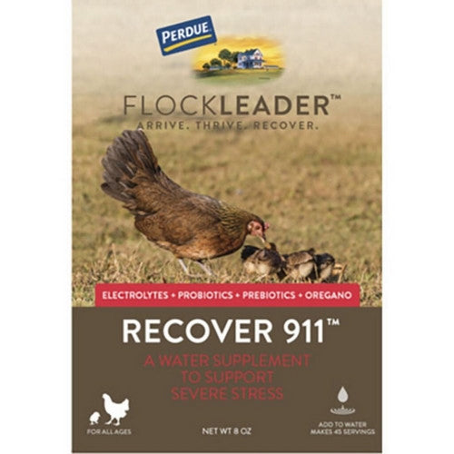 Flockleader, Perdue Flockleader Recover 911 Poultry Supplement, 8 Oz, Powder