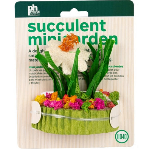 Prevue Pet, Succulent Minigarden, 3.38X3.38X3.75