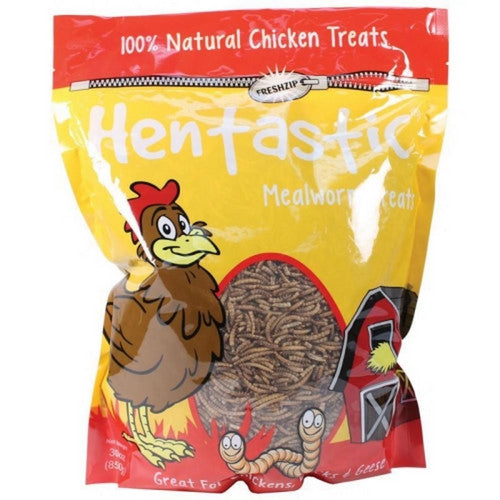 Hentastic Mealworm Chicken Treats 30 Oz by Hentastic