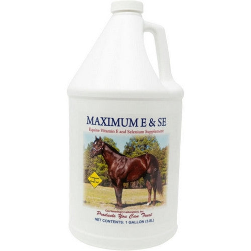 Cox Maximum E & Se Supplement 1 Gallons,Fruit Punch by Cox Veterinary Laboratory Inc.
