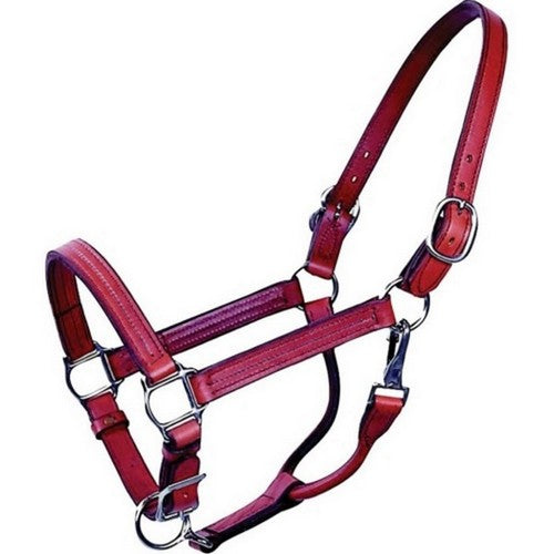 Beiler'S Track Halter HORSE,Brown by Beiler'S