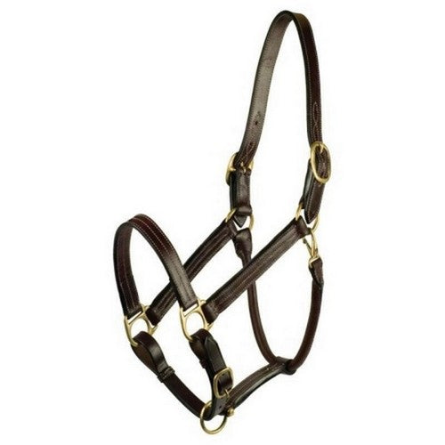 Gatsby Premium Adjustable Triple Stitched Halter COB,Havana by Gatsby