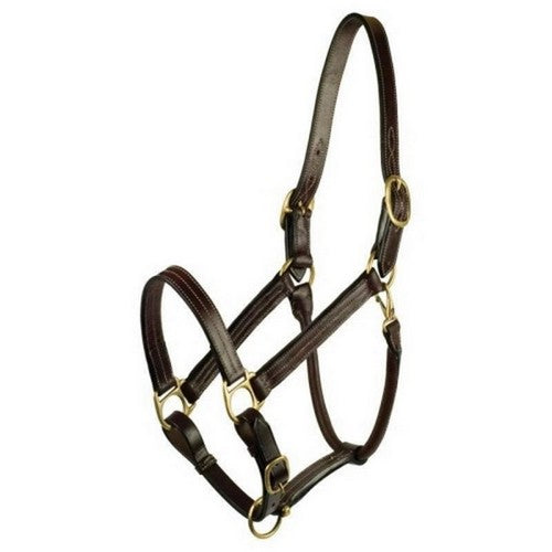 Gatsby Premium Adjustable Triple Stitched Halter HORSE,Havana by Gatsby