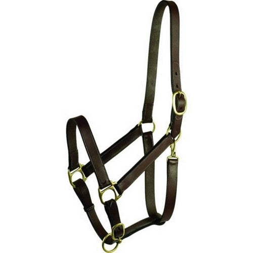 Gatsby, Gatsby Leather Adjustable Turnout Halter W/Snap, SUCKLING,Havana