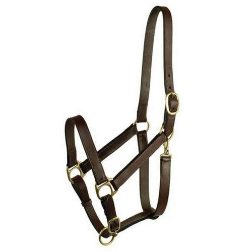 Gatsby Leather Adjustable Turnout Halter W/Snap WEANLING,Havana by Gatsby