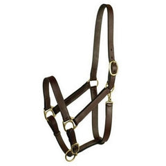 Gatsby Leather Adjustable Turnout Halter W/Snap 1 Each, Yearling / Havana by Gatsby