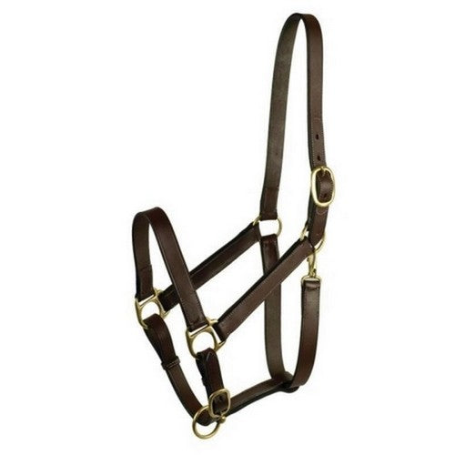 Gatsby Leather Adjustable Turnout Halter WEANLING,Havana by Gatsby