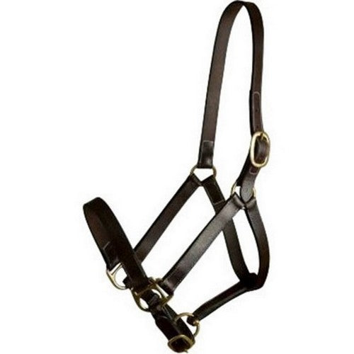 Gatsby Leather Adjustable Turnout Halter SUCKLING,Havana by Gatsby