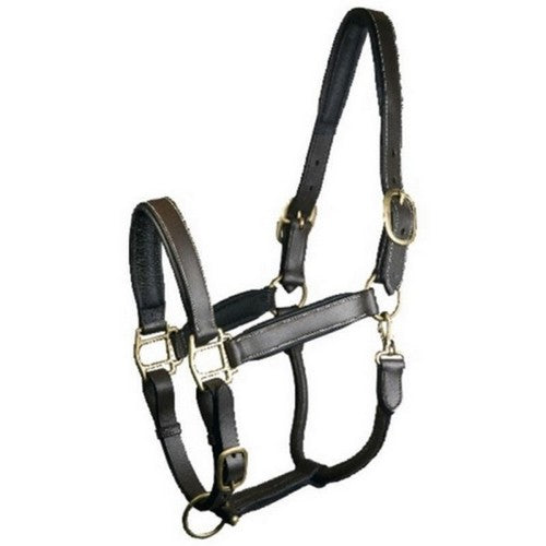 Gatsby Adjustable Padded Leather Halter COB,Havana by Gatsby