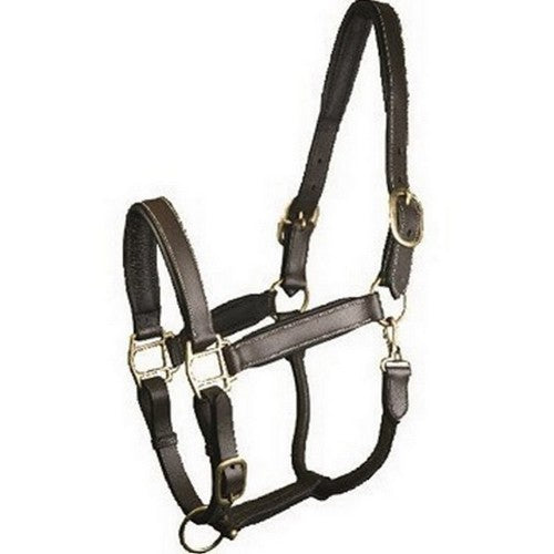 Gatsby, Gatsby Adjustable Padded Leather Halter, OVERSIZE,Havana