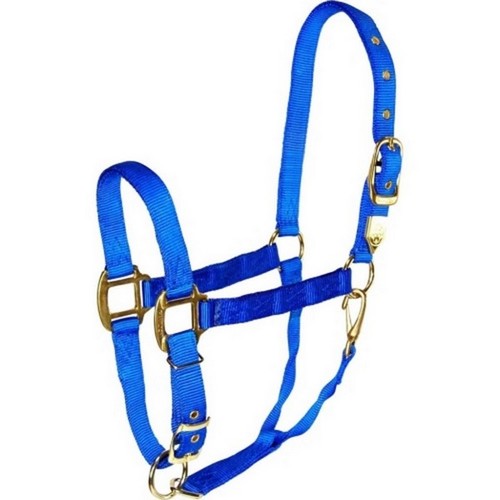 Hamilton, Hamilton Adjustable Chin Halter W/Snap, 1 / AVG,Blue