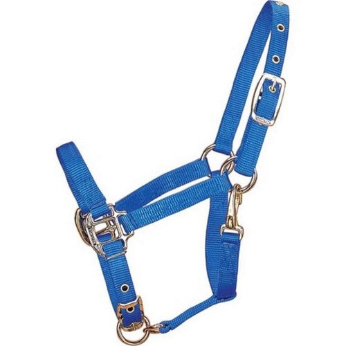Hamilton, Hamilton Adjustable Chin Halter W/Snap, 1 / Pony,Blue