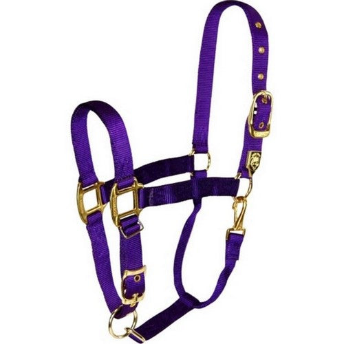 Hamilton, Hamilton Adjustable Chin Halter W/Snap, 1 Each, AVG,Purple