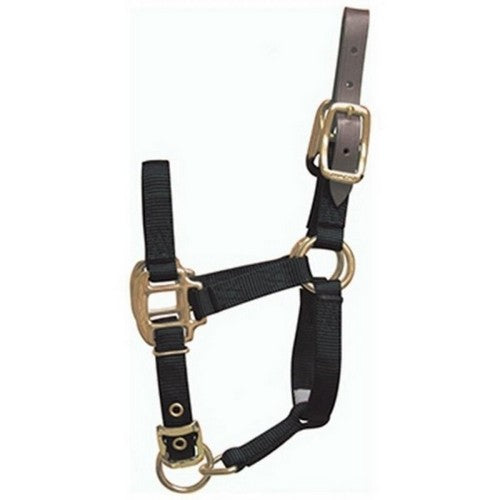 Hamilton, Hamilton Adjustable Halter W/Leather Headpole, 1 Each, Foal,Black