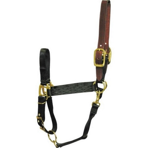 Hamilton, Hamilton Adjustable Halter W/Leather Headpole, 1 Each, Large,Black