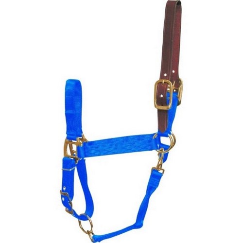 Hamilton, Hamilton Adjustable Halter W/Leather Headpole, 1 Each, Large,Blue