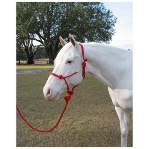 Hamilton, Hamilton Adult Rope Halter W/Lead, 1 Each, AVG,Red