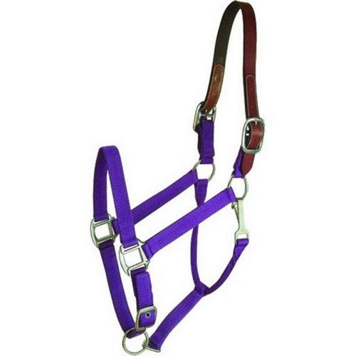 Gatsby Nylon Breakaway Halter COB,Purple by Gatsby