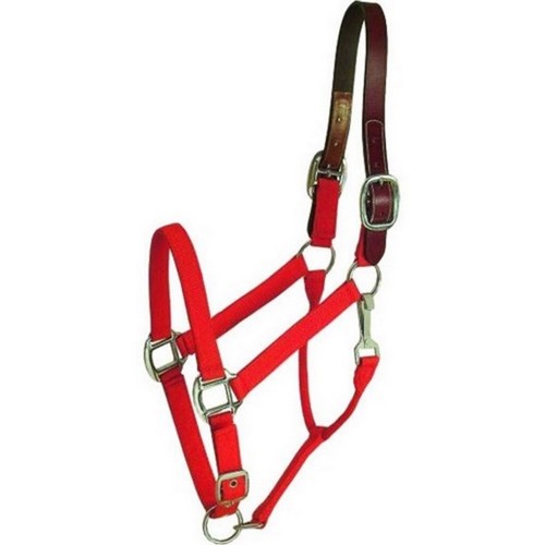 Gatsby Nylon Breakaway Halter COB,Red by Gatsby