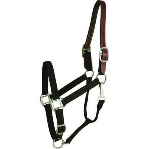 Gatsby Nylon Breakaway Halter HORSE,Black by Gatsby