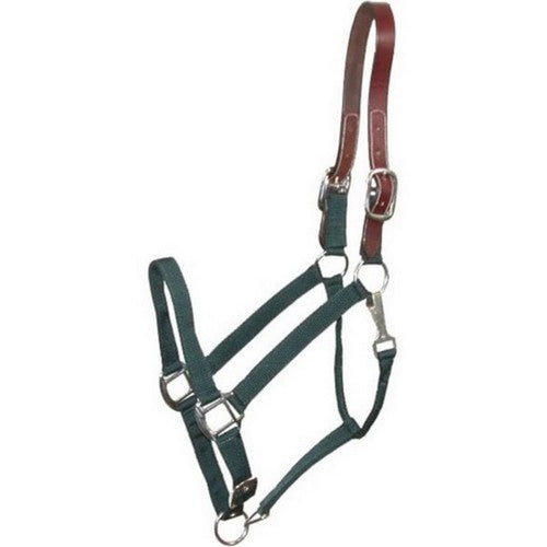 Gatsby Nylon Breakaway Halter HORSE,Green by Gatsby