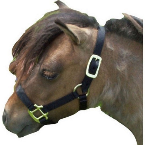 Horse & Livestock Prime, Premium Halter Chin W/Snap, Mini,Black