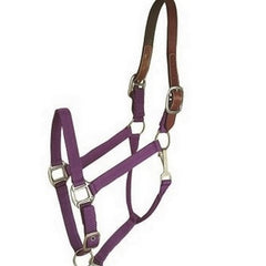 Gatsby Nylon Breakaway Halter OVERSIZE,Purple by Gatsby