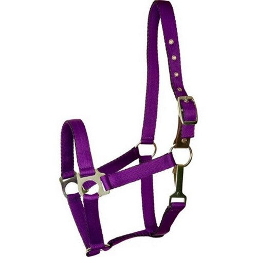 Gatsby, Gatsby Ultra Soft Nylon Safety Halter, COB,Purple