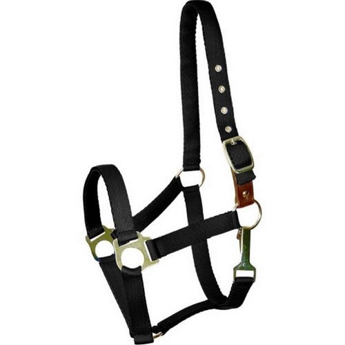 Gatsby, Gatsby Ultra Soft Nylon Safety Halter, Pony,Black