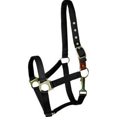 Gatsby Ultra Soft Nylon Safety Halter Pony,Black by Gatsby