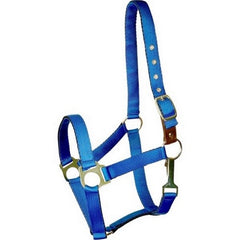 Gatsby Ultra Soft Nylon Safety Halter Pony,Royal Blue by Gatsby