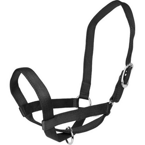 Gatsby, Gatsby Nylon Cattle Halter, Large,Black
