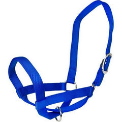 Gatsby Nylon Cattle Halter Small,Blue by Gatsby