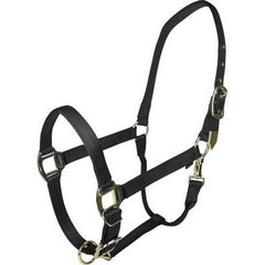 Gatsby Gold Adjustable Halter W/ Snap Pony,Black by Gatsby