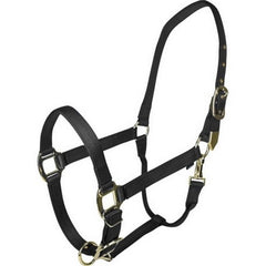 Gatsby Gold Adjustable Halter W/ Snap COB,Black by Gatsby