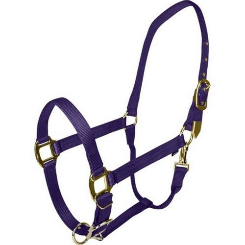 Gatsby, Gatsby Gold Adjustable Halter W/ Snap, HORSE,Purple