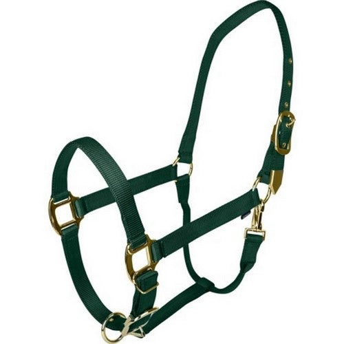 Gatsby, Gatsby Gold Adjustable Halter W/ Snap, COB,Hunter Green