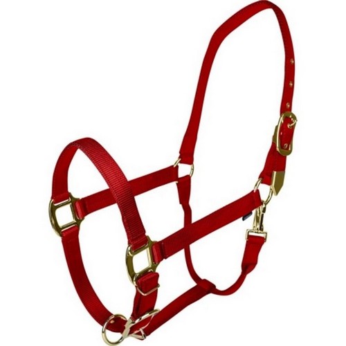 Gatsby, Gatsby Gold Adjustable Halter W/ Snap, HORSE,Red