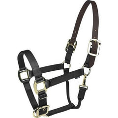 Gatsby Gold Nylon Breakaway Halter Pony,Black by Gatsby