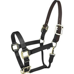 Gatsby Gold Nylon Breakaway Halter HORSE,Black by Gatsby