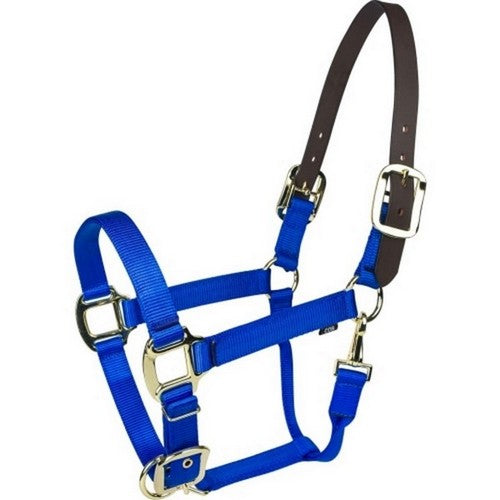 Gatsby, Gatsby Gold Nylon Breakaway Halter, HORSE,Blue
