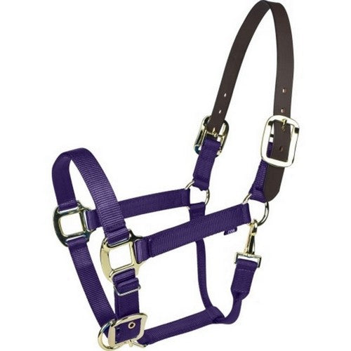 Gatsby Gold Nylon Breakaway Halter Pony,Purple by Gatsby