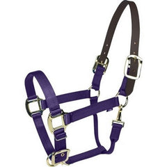 Gatsby Gold Nylon Breakaway Halter COB,Purple by Gatsby